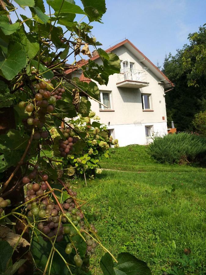 Apartamento Dom na wzgórzu Gorlice Exterior foto