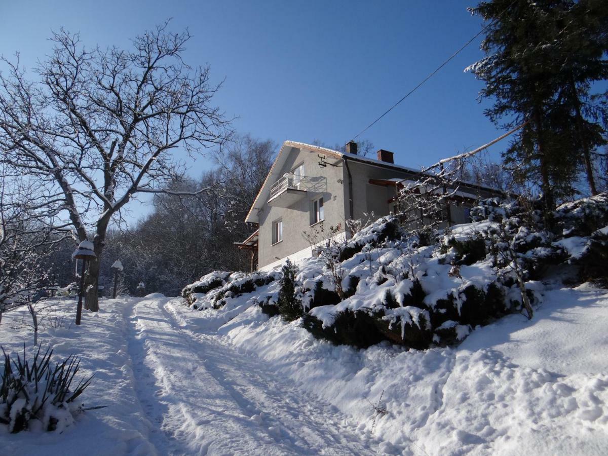 Apartamento Dom na wzgórzu Gorlice Exterior foto